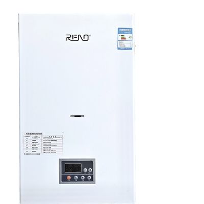 Caldaia a gas per hotel 32-40kw Caldaie di riscaldamento centrali a gas domestici