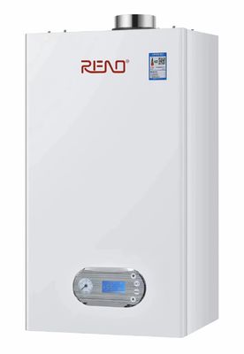 Caldaia a gas 3C a muro a temperatura costante 20kw Lpg utilizzare pompe di prima classe