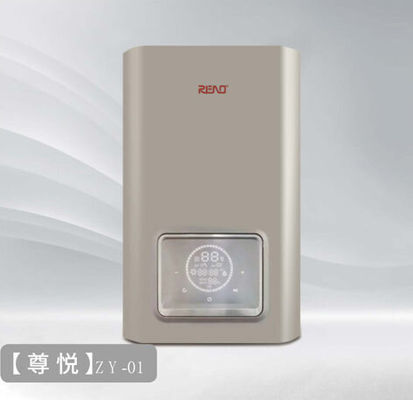 Caldaia a gas intelligente montata a parete Controllo informatico Caldaie combinate per la casa